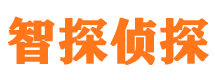 城中市侦探公司